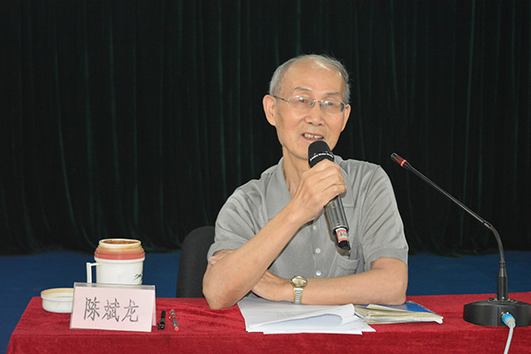 教学专家陈斌龙教授讲话
